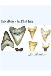 Pictorial Guide to Fossil Shark Teeth: Shark Teeth from Around the World
