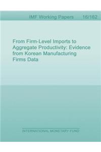 From Firm-Level Imports to Aggregate Productivity