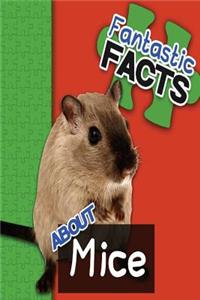 Fantastic Facts about Mice