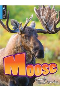 Moose