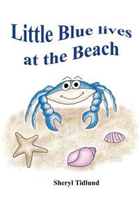 Little Blue lives at the Beach
