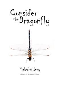 Consider the Dragonfly