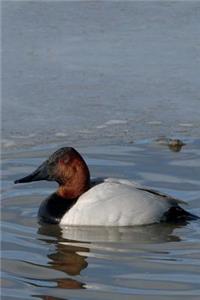 North American Canvasback Duck Journal