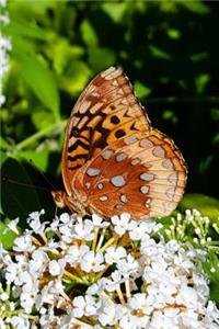 Journal Pretty Spring Butterfly White Butterfly Bush