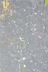 Springtime Journal Pollen Cement