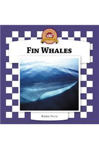 Fin Whales