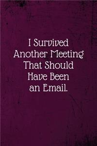 I Survived Another Meeting That Should Have Been An Email.