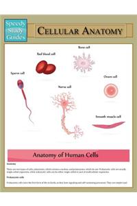 Cellular Anatomy (Speedy Study Guide)