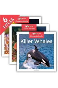 Ocean Animals (Set)