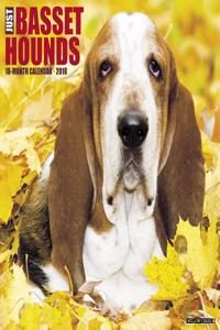 Just Basset Hounds 2018 Wall Calendar (Dog Breed Calendar)