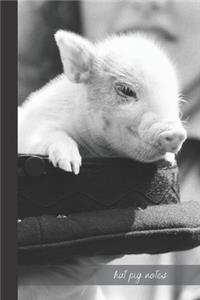 Hat Pig Notes