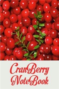 Cranberry notebook