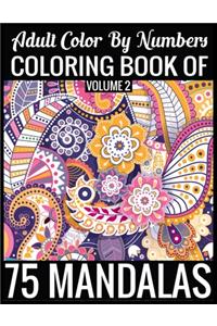 Adult Color By Numbers Coloring Book of Mandalas Volume 2