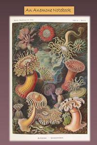 An Anemone Notebook