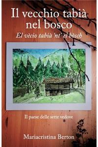 vecchio tabià nel bosco