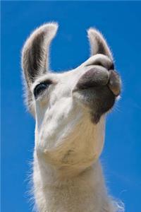 White Llama and Blue Sky Journal