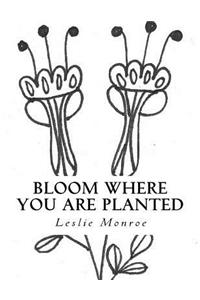 Bloom Where You are Planted