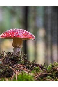 Mushroom Mushrooms Fungi Toadstool Fungus Notebook Journal School