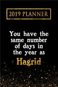 2019 Planner: You Have the Same Number of Days in the Year as Hagrid: Hagrid 2019 Planner