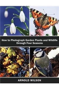 How To Photograph Garden Plants and Wildlife Through Four Seasons