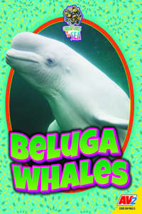 Beluga Whales