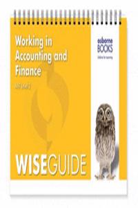 Working in Accounting and Finance Wise Guide