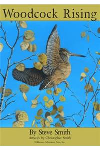 Woodcock Rising