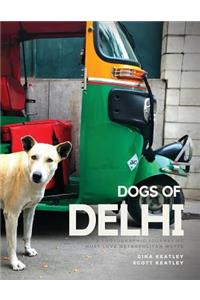 Dogs of Delhi
