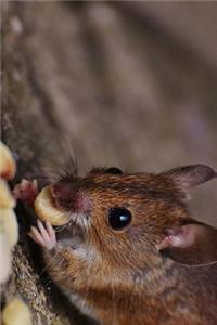 Field Mouse Eating Peanuts Journal