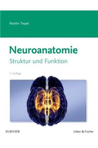 Neuroanatomie