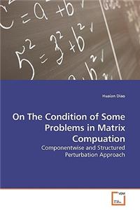 On The Condition of Some Problems in Matrix Compuation