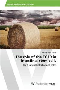 role of the EGFR in intestinal stem cells