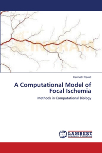 Computational Model of Focal Ischemia