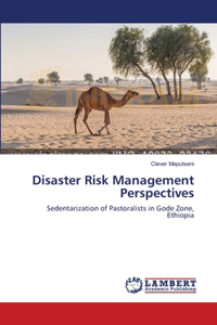 Disaster Risk Management Perspectives