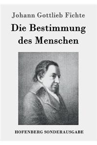 Bestimmung des Menschen