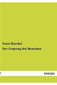 Ursprung Des Menschen