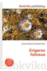 Erigeron Foliosus