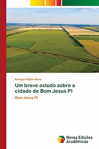 Um breve estudo sobre a cidade de Bom Jesus PI