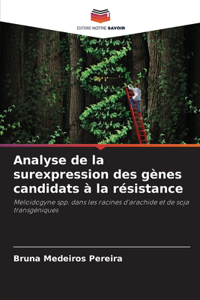 Analyse de la surexpression des gènes candidats à la résistance