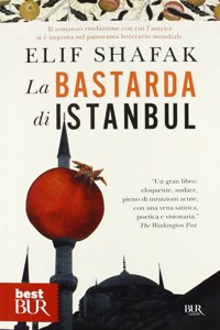La bastarda di Instanbul