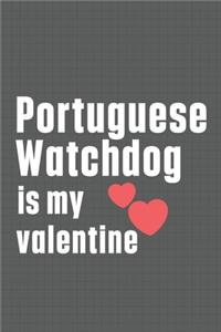 Portuguese Watchdog is my valentine