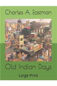 Old Indian Days