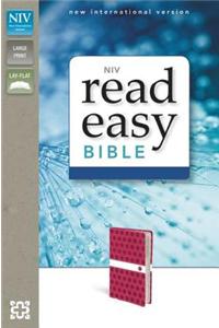 NIV Readeasy Bible