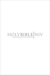 NIV Engagement Bible