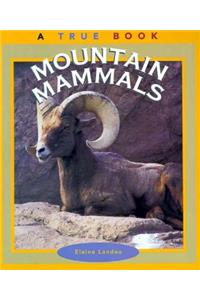 Mountain Mammals