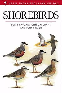 Shorebirds (Helm Identification Guides) Hardcover â€“ 1 January 1995