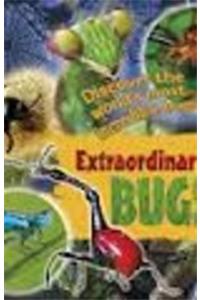 Record Busters: Bugs