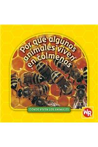 Por Qué Algunos Animales Viven En Colmenas (Why Animals Live in Hives)