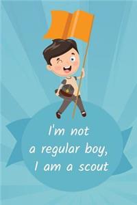 Thick Journal & Sketchbook (119 Pages) - Summer Journal, Camping, Boy Scouts Gifts