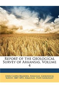 Report of the Geological Survey of Arkansas, Volume 4